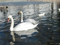 Tula_3